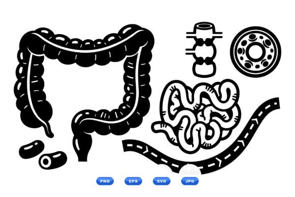 Anatomical Intestine Clipart Set
