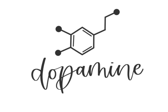 Dopamine Molecular Structure